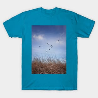 birds migration T-Shirt